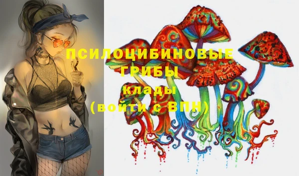 герыч Алзамай