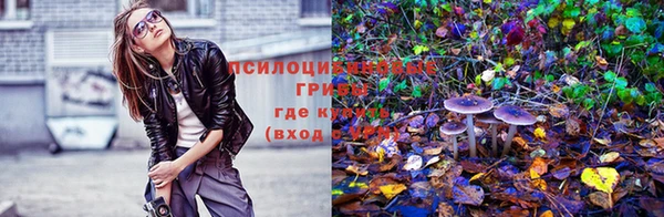 spice Алексеевка