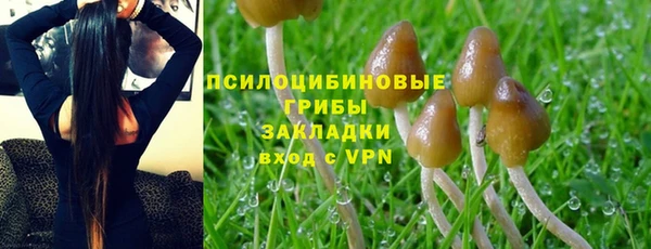 spice Алексеевка