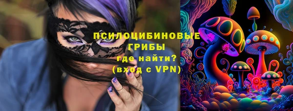spice Алексеевка