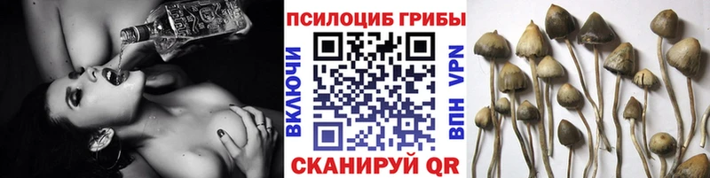 Псилоцибиновые грибы ЛСД Большой Камень