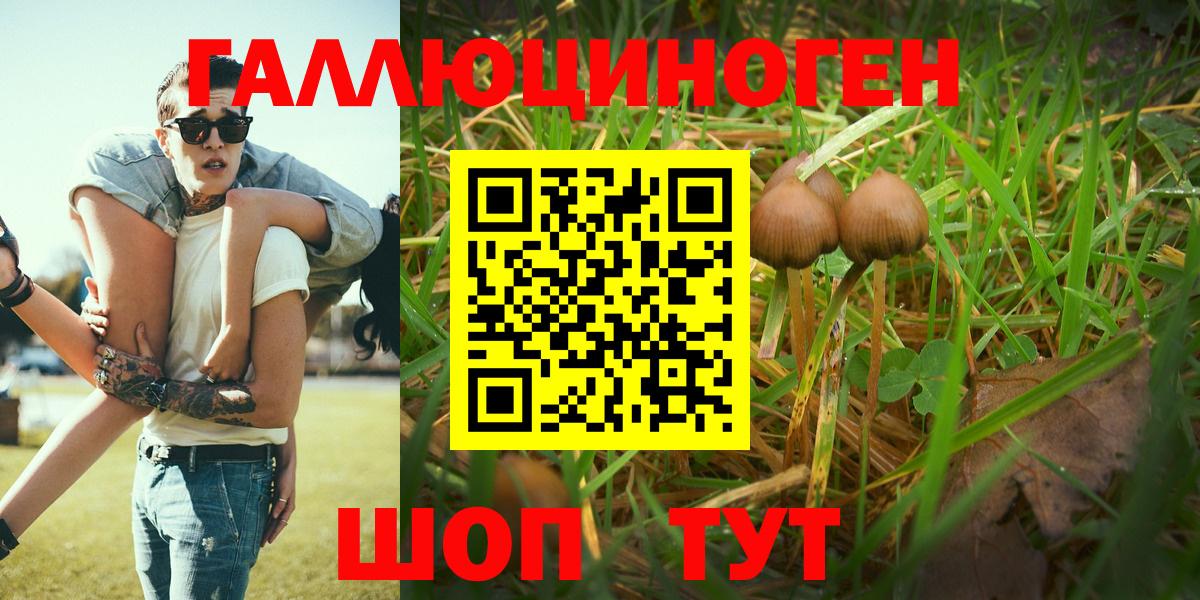 Галлюциногенные грибы Magic Shrooms Большой Камень