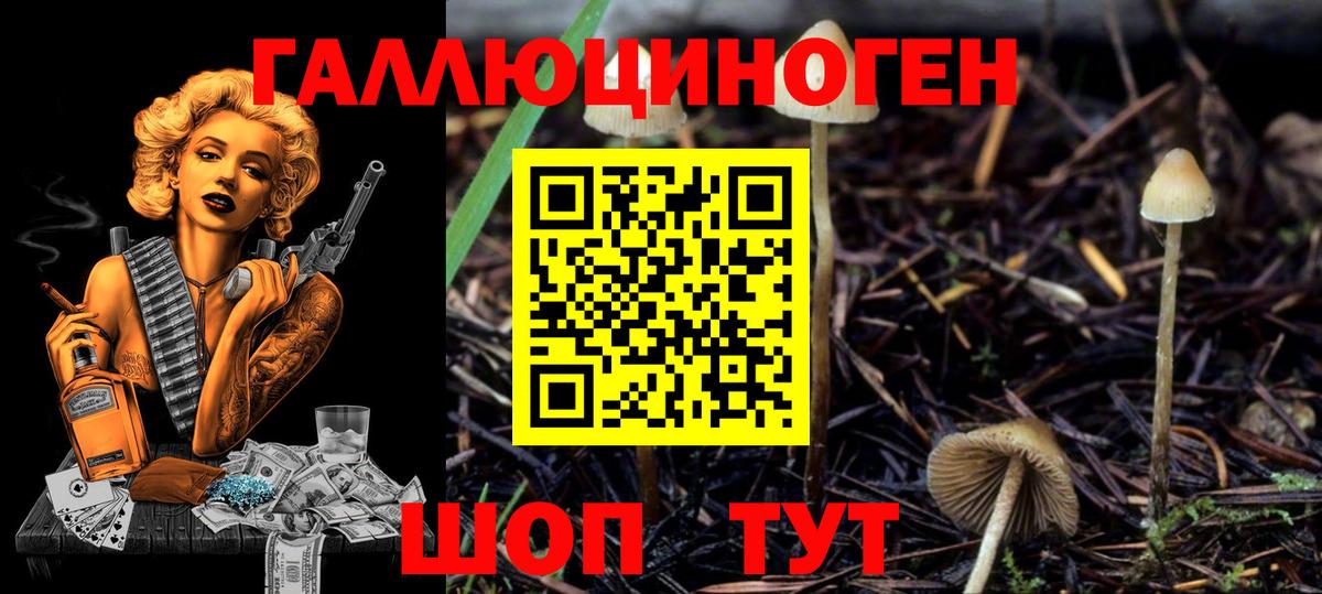 Псилоцибиновые грибы мухоморы  Псилоцибиновые грибы Psilocybe  Большой Камень  Вход с VPN 