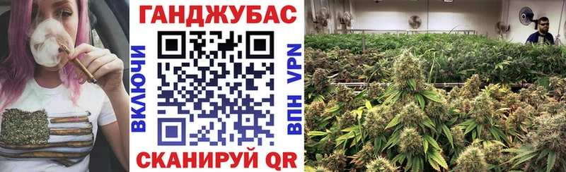 купить   Большой Камень  Конопля Amnesia 